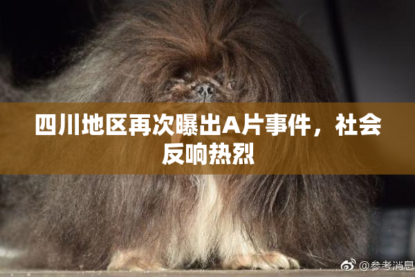 四川地区再次曝出A片事件，社会反响热烈