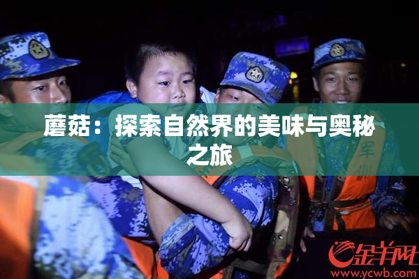 蘑菇：探索自然界的美味与奥秘之旅