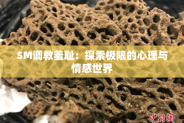 SM调教羞耻：探索极限的心理与情感世界