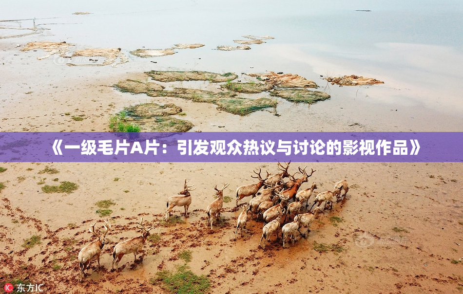 《一级毛片A片：引发观众热议与讨论的影视作品》