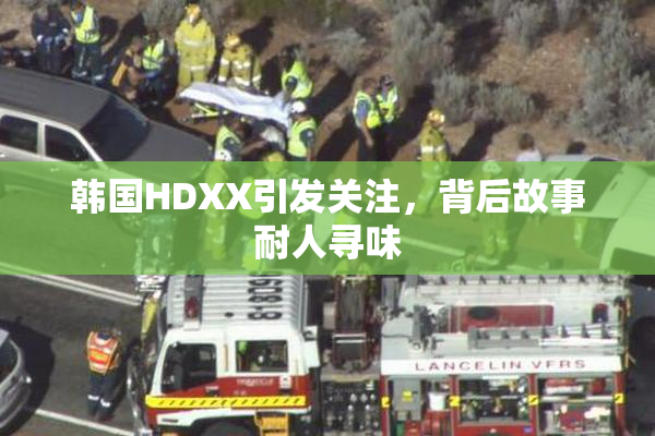 韩国HDXX引发关注，背后故事耐人寻味