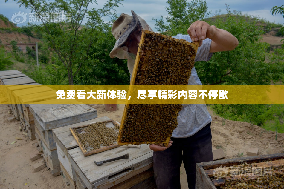 免费看大新体验，尽享精彩内容不停歇