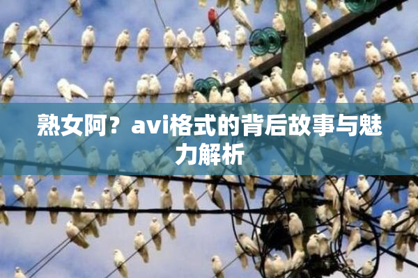 熟女阿？avi格式的背后故事与魅力解析