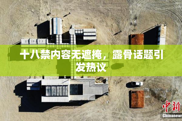 十八禁内容无遮掩，露骨话题引发热议