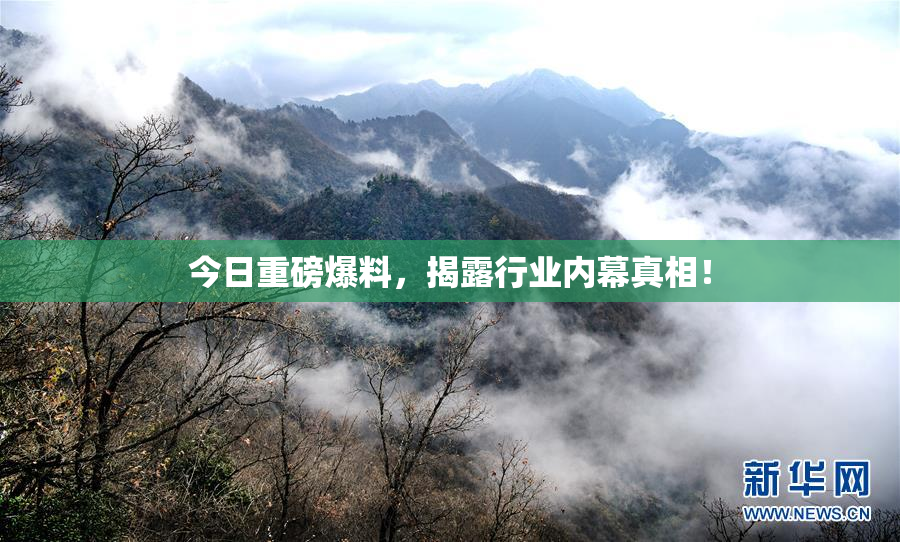 今日重磅爆料，揭露行业内幕真相！