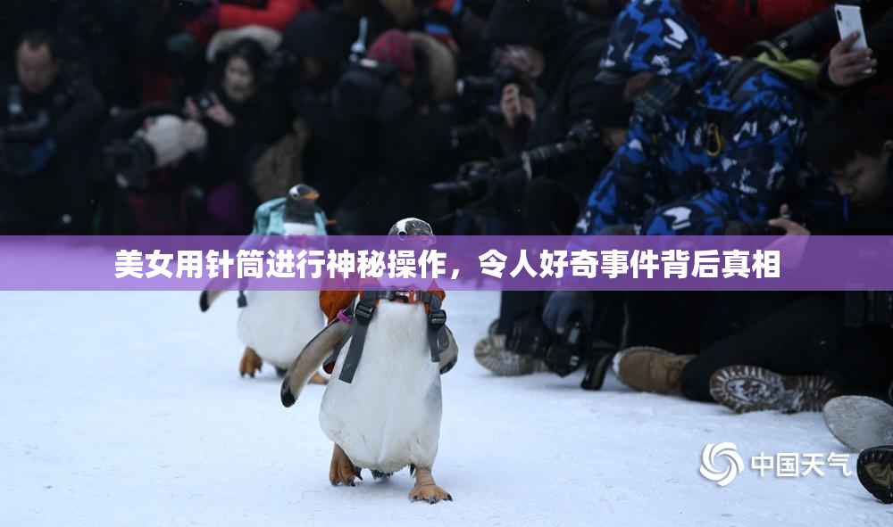 美女用针筒进行神秘操作，令人好奇事件背后真相