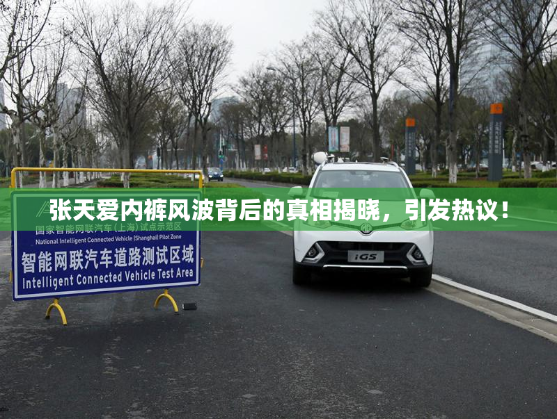 张天爱内裤风波背后的真相揭晓，引发热议！