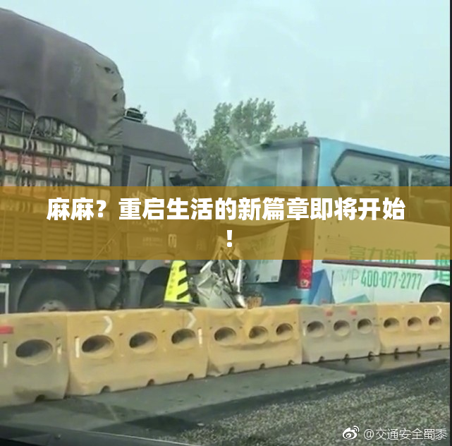 麻麻？重启生活的新篇章即将开始！
