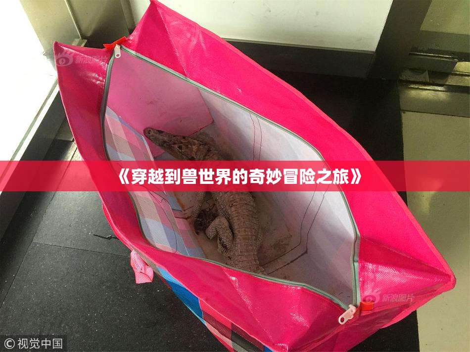 《穿越到兽世界的奇妙冒险之旅》
