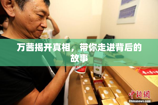 万茜揭开真相，带你走进背后的故事