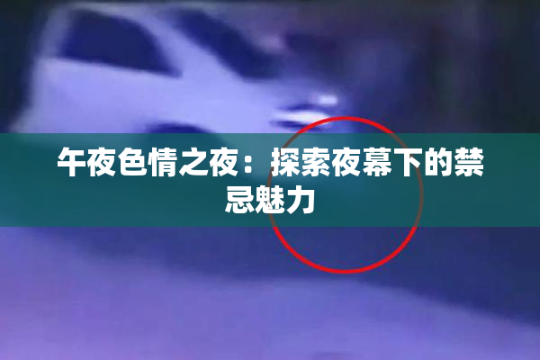 午夜色情之夜：探索夜幕下的禁忌魅力