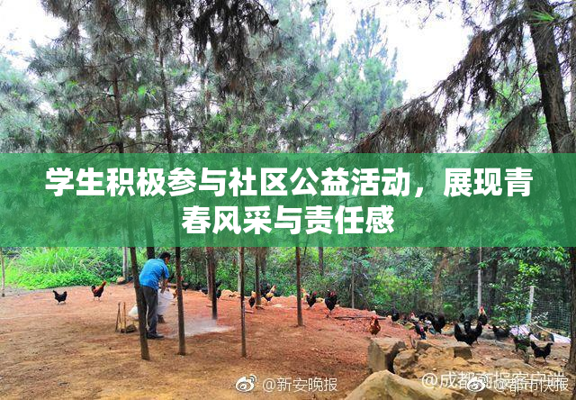 学生积极参与社区公益活动，展现青春风采与责任感