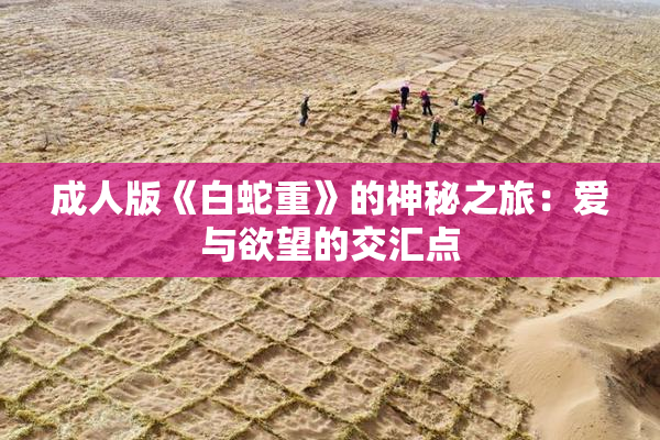 成人版《白蛇重》的神秘之旅：爱与欲望的交汇点