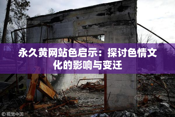 永久黄网站色启示：探讨色情文化的影响与变迁