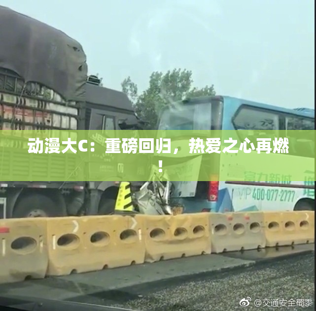 动漫大C：重磅回归，热爱之心再燃！