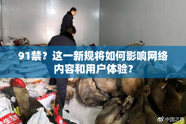 91禁？这一新规将如何影响网络内容和用户体验？