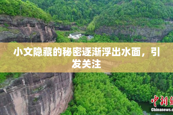 小文隐藏的秘密逐渐浮出水面，引发关注