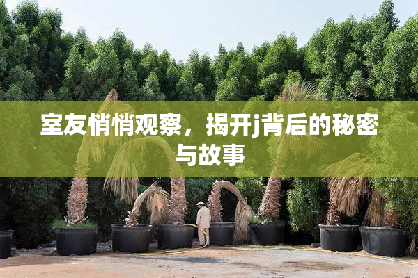 室友悄悄观察，揭开j背后的秘密与故事