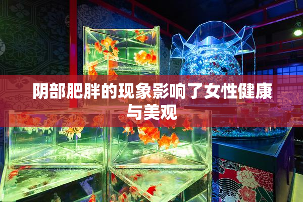 阴部肥胖的现象影响了女性健康与美观
