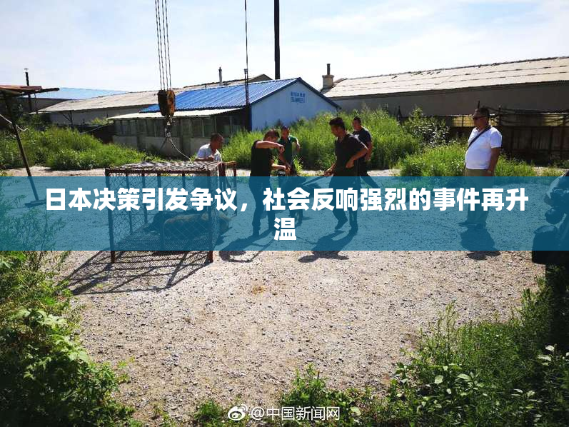 日本决策引发争议，社会反响强烈的事件再升温