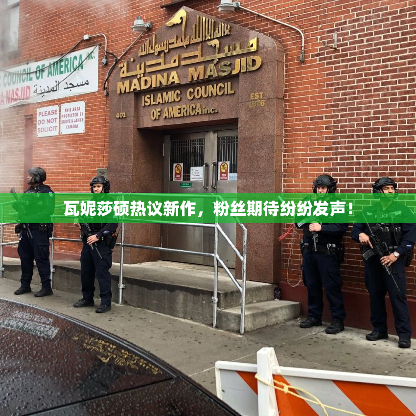 瓦妮莎硕热议新作，粉丝期待纷纷发声！