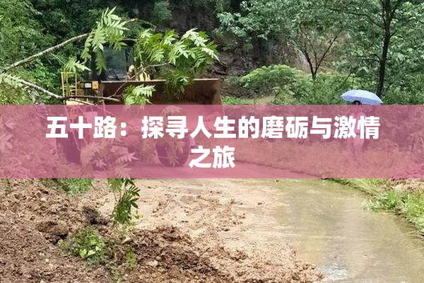 五十路：探寻人生的磨砺与激情之旅