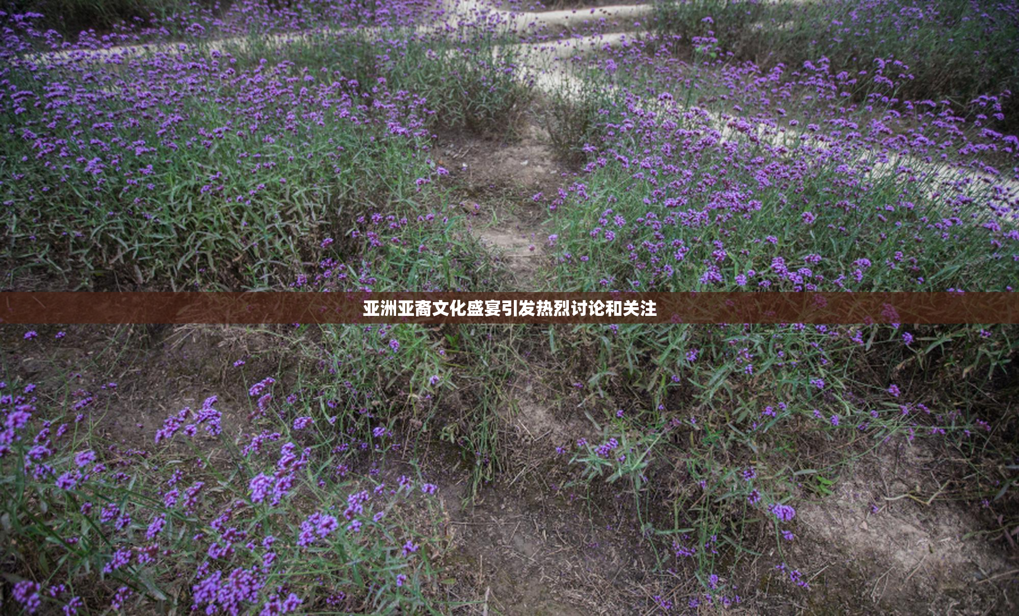 亚洲亚裔文化盛宴引发热烈讨论和关注