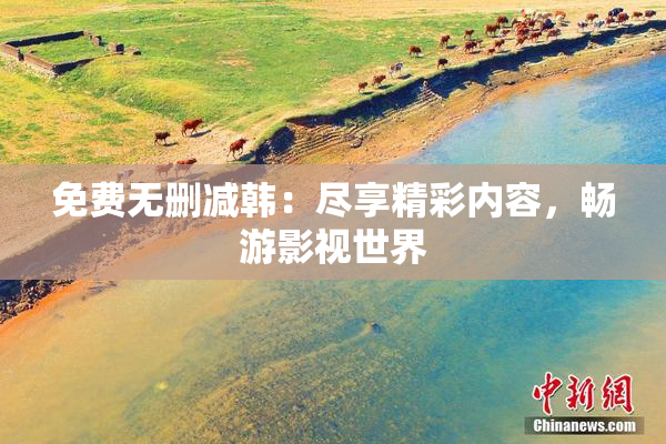 免费无删减韩：尽享精彩内容，畅游影视世界