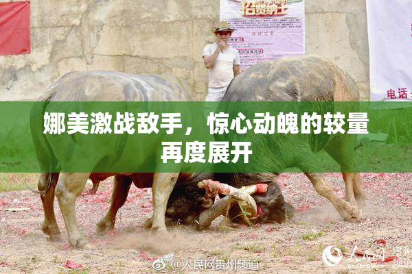 娜美激战敌手，惊心动魄的较量再度展开