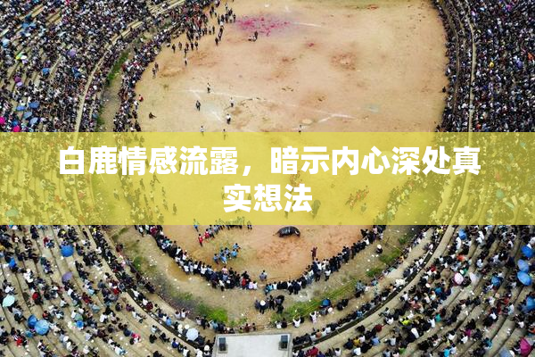 白鹿情感流露，暗示内心深处真实想法