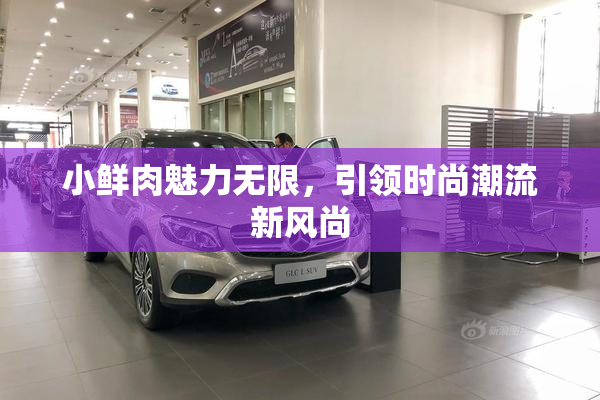 小鲜肉魅力无限，引领时尚潮流新风尚