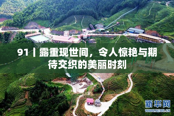 91丨露重现世间，令人惊艳与期待交织的美丽时刻