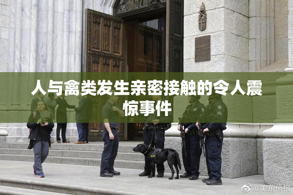 人与禽类发生亲密接触的令人震惊事件