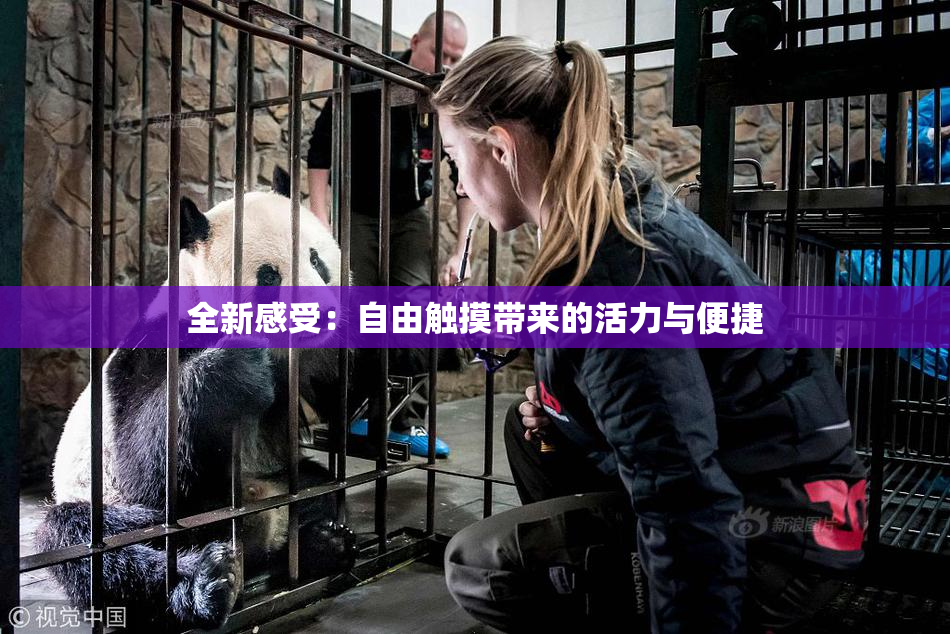 全新感受：自由触摸带来的活力与便捷