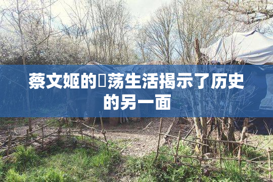 蔡文姬的婬荡生活揭示了历史的另一面