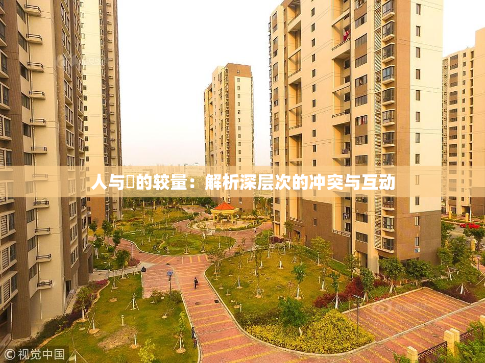 人与嘼的较量：解析深层次的冲突与互动
