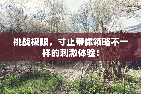 挑战极限，寸止带你领略不一样的刺激体验！