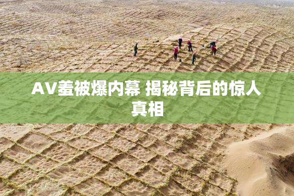 AV羞被爆内幕 揭秘背后的惊人真相