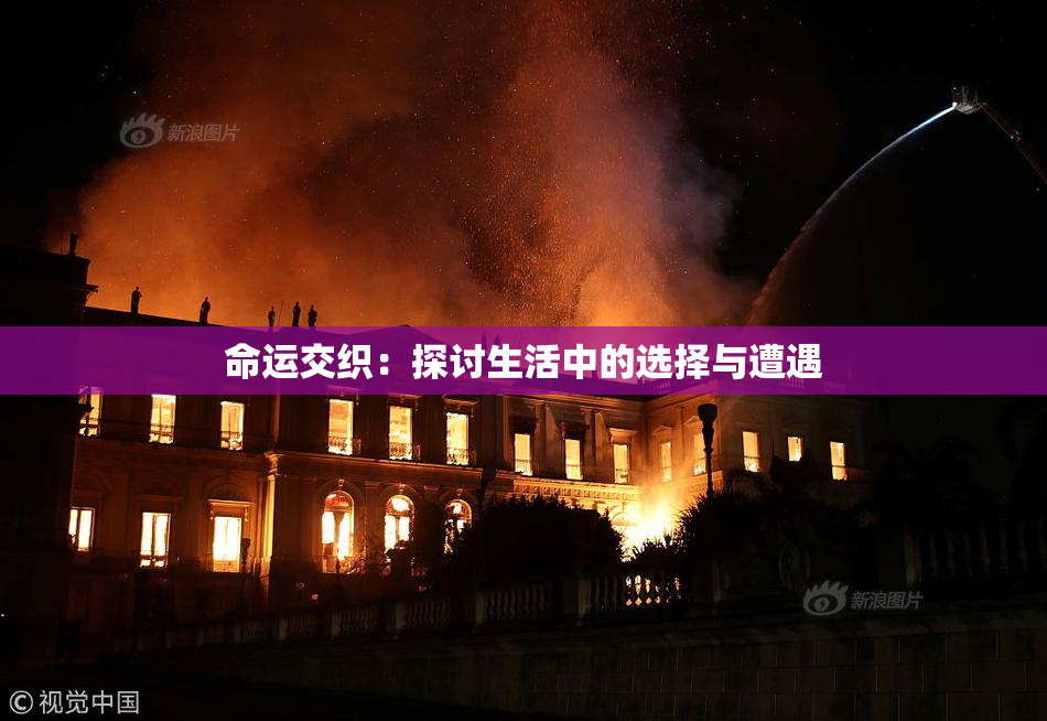 命运交织：探讨生活中的选择与遭遇