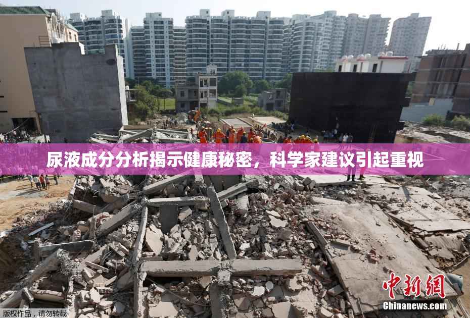 尿液成分分析揭示健康秘密，科学家建议引起重视