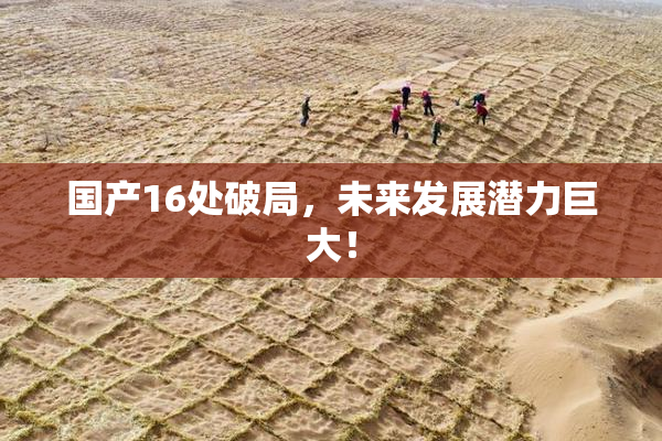国产16处破局，未来发展潜力巨大！