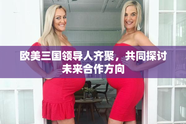 欧美三国领导人齐聚，共同探讨未来合作方向