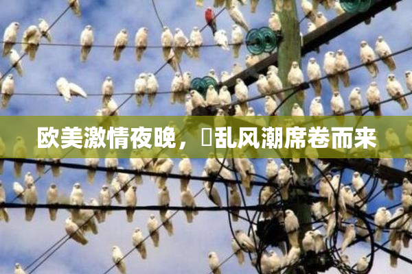 欧美激情夜晚，婬乱风潮席卷而来