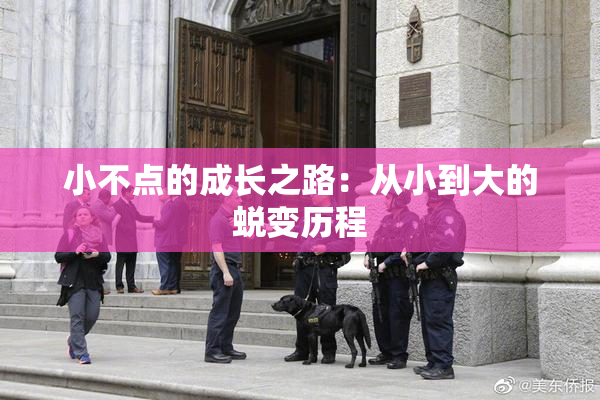 小不点的成长之路：从小到大的蜕变历程