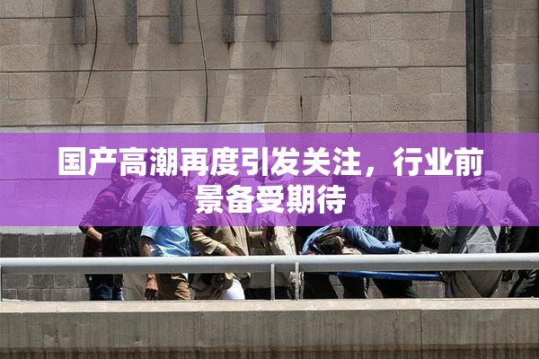国产高潮再度引发关注，行业前景备受期待