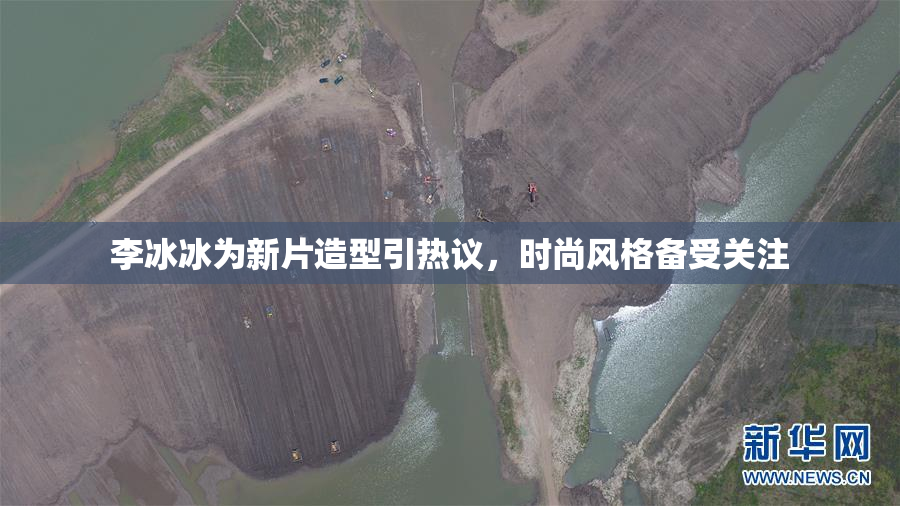 李冰冰为新片造型引热议，时尚风格备受关注