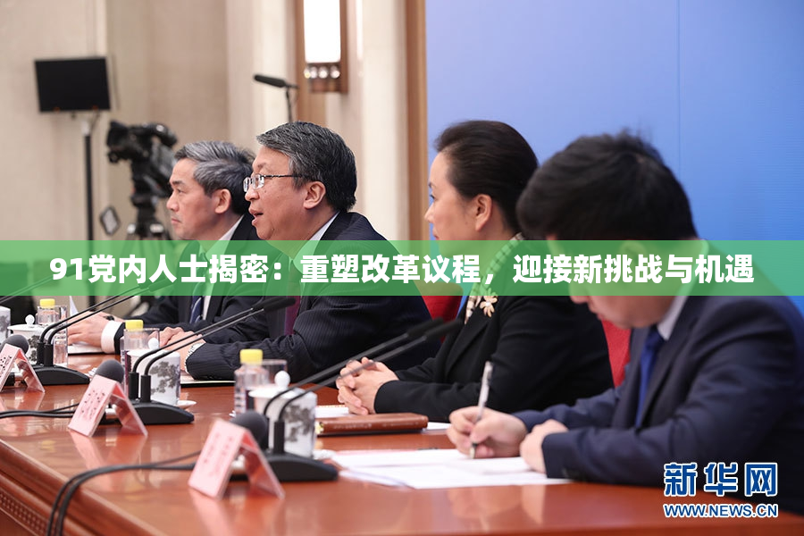 91党内人士揭密：重塑改革议程，迎接新挑战与机遇