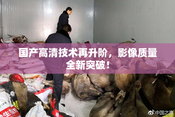 国产高清技术再升阶，影像质量全新突破！