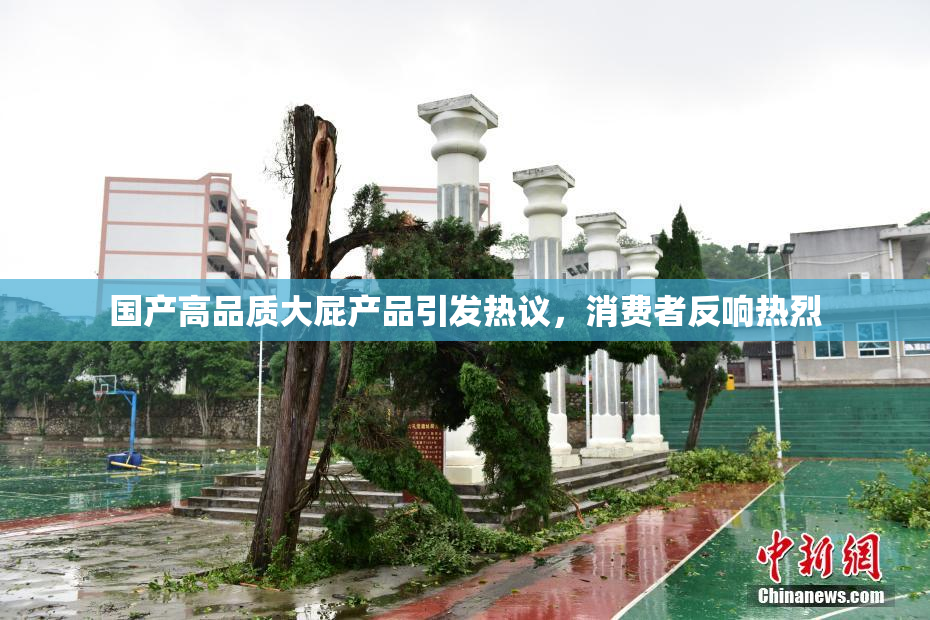 国产高品质大屁产品引发热议，消费者反响热烈