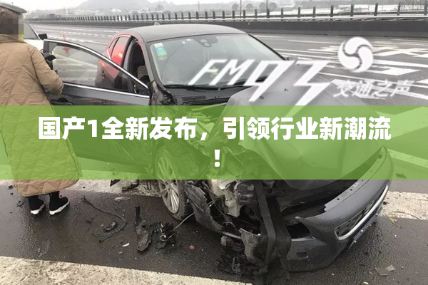 国产1全新发布，引领行业新潮流！